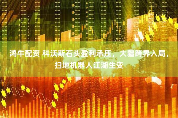 鸿牛配资 科沃斯石头盈利承压，大疆跨界入局，扫地机器人江湖生变