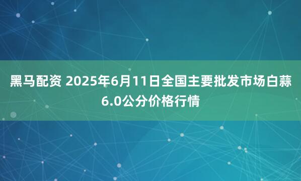 黑马配资 2025年6月11日全国主要批发市场白蒜6.0公分价格行情