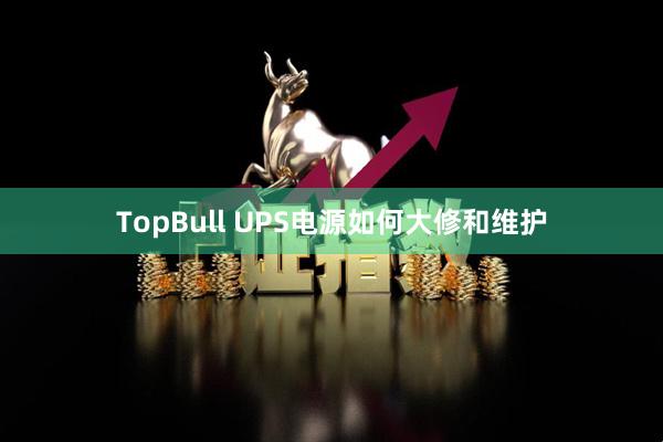 TopBull UPS电源如何大修和维护