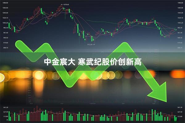 中金宸大 寒武纪股价创新高