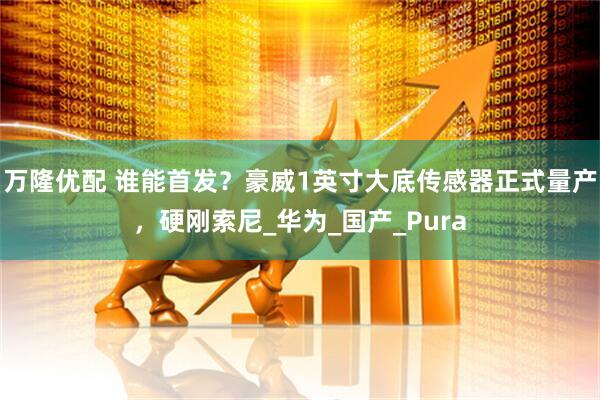 万隆优配 谁能首发？豪威1英寸大底传感器正式量产，硬刚索尼_华为_国产_Pura