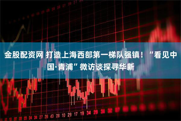 金股配资网 打造上海西部第一梯队强镇！“看见中国·青浦”微访谈探寻华新