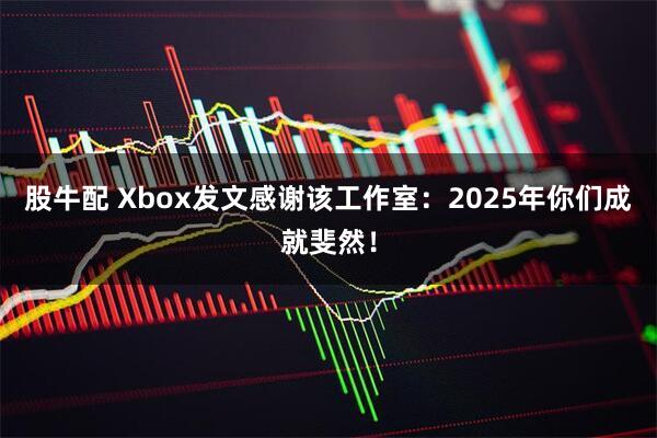 股牛配 Xbox发文感谢该工作室：2025年你们成就斐然！