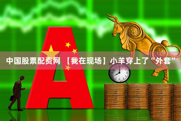 中国股票配资网 【我在现场】小羊穿上了“外套”